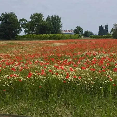 La Petite Ligerienne
