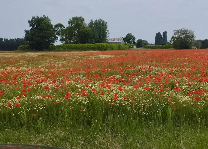 La Petite Ligerienne
