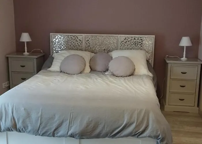 度假居 La Petite Ligerienne Villebernier