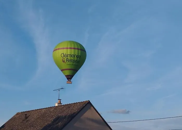 La Petite Ligerienne *