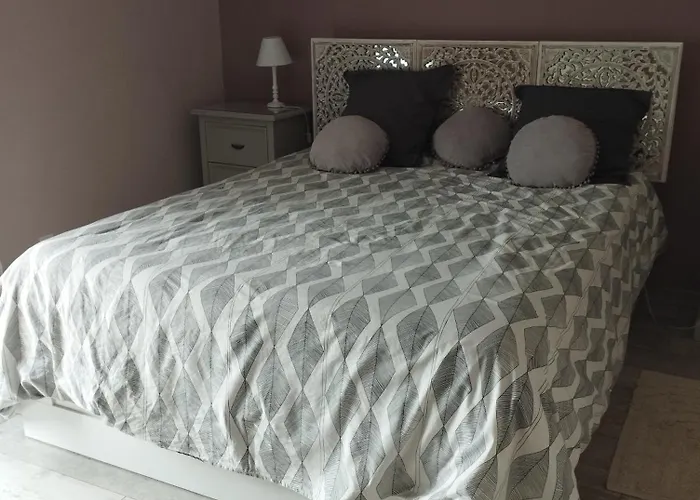 度假居 La Petite Ligerienne *